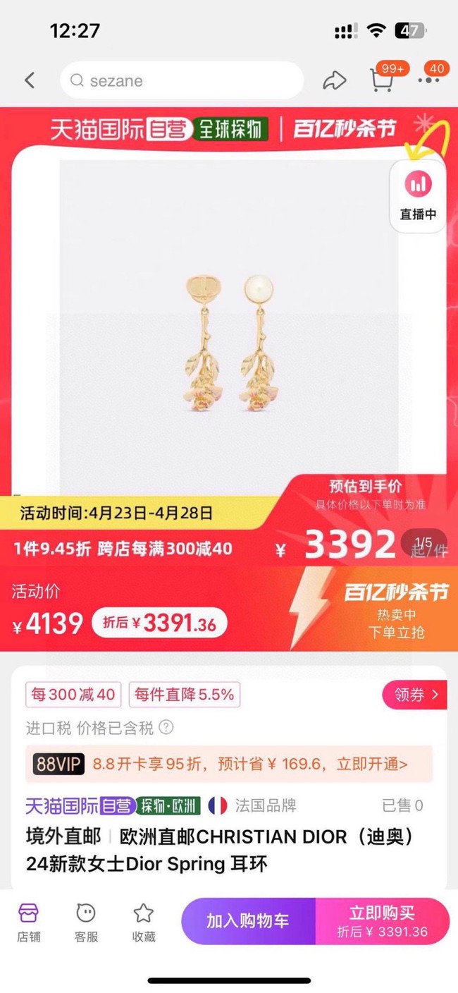 Dior Earring CE16574