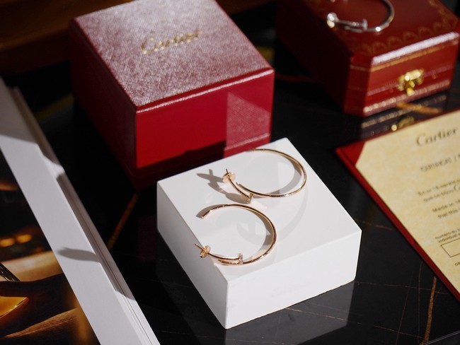 Cartier Earring CE81784