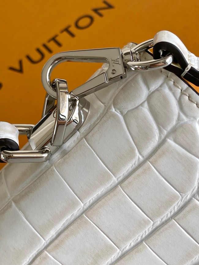 Louis Vuitton Calfskin M84714 light gray
