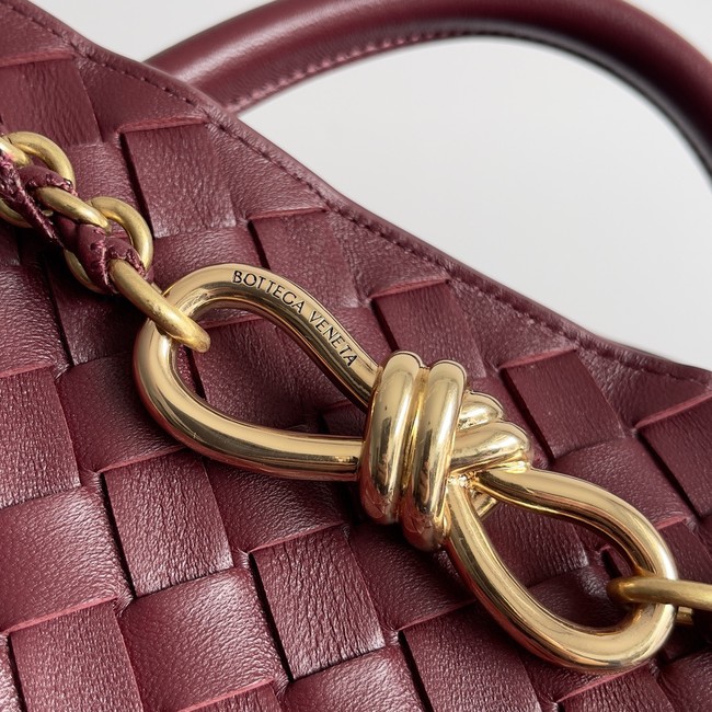 Bottega Veneta Small Andiamo 766014 Barolo